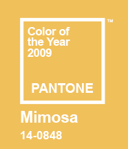 pantone 2009 رنگ سال